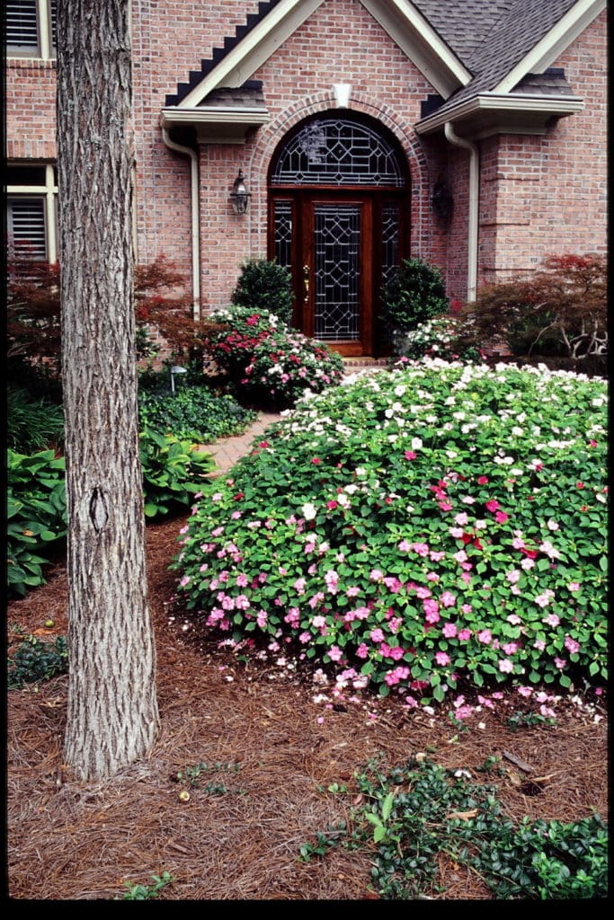 Knoxville Landscaping