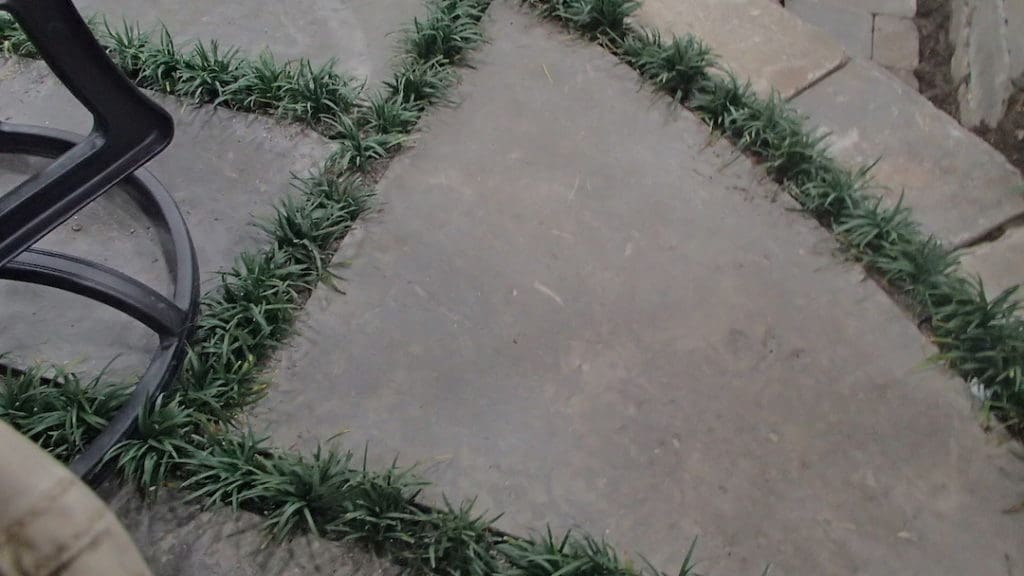 Knoxville Landscaping