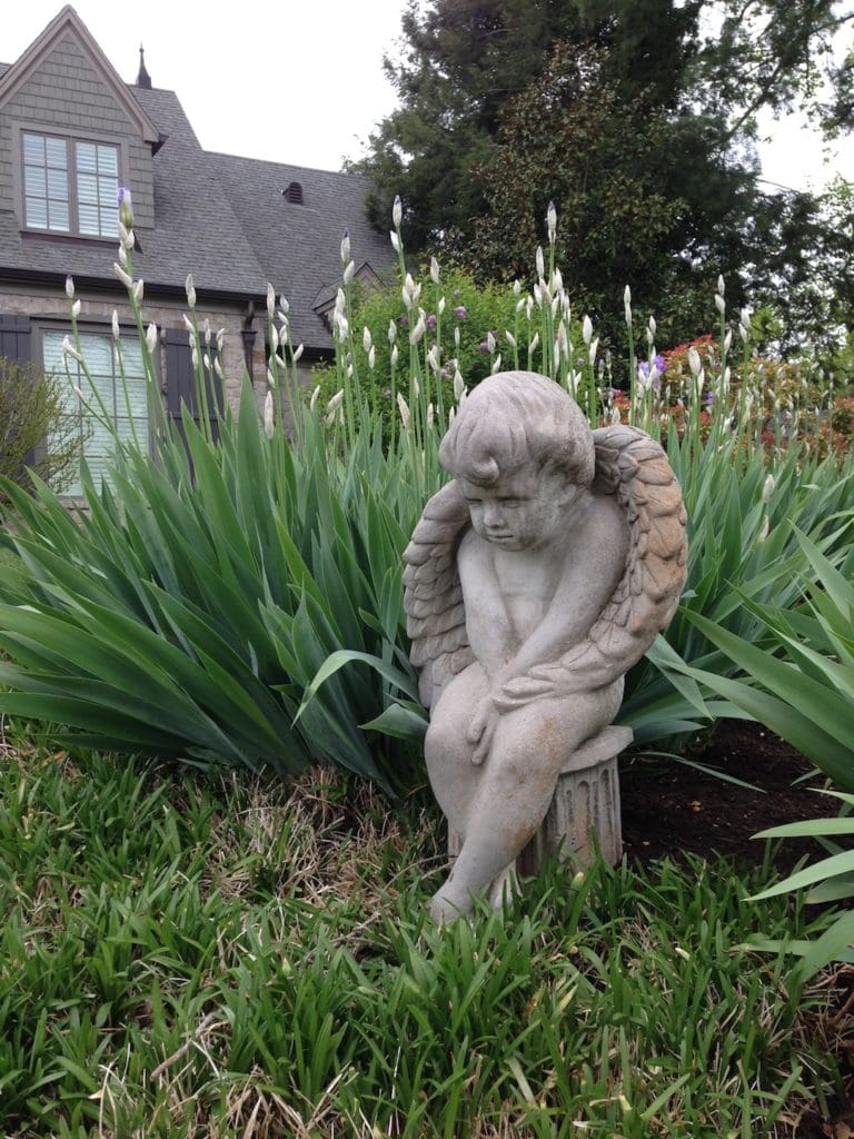 Knoxville Landscaping