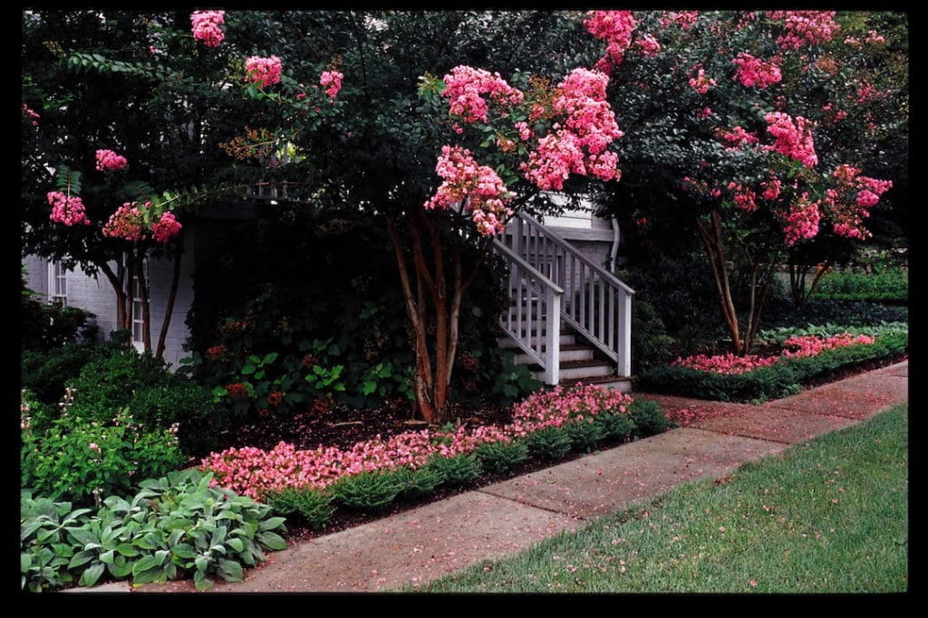 Knoxville Landscaping