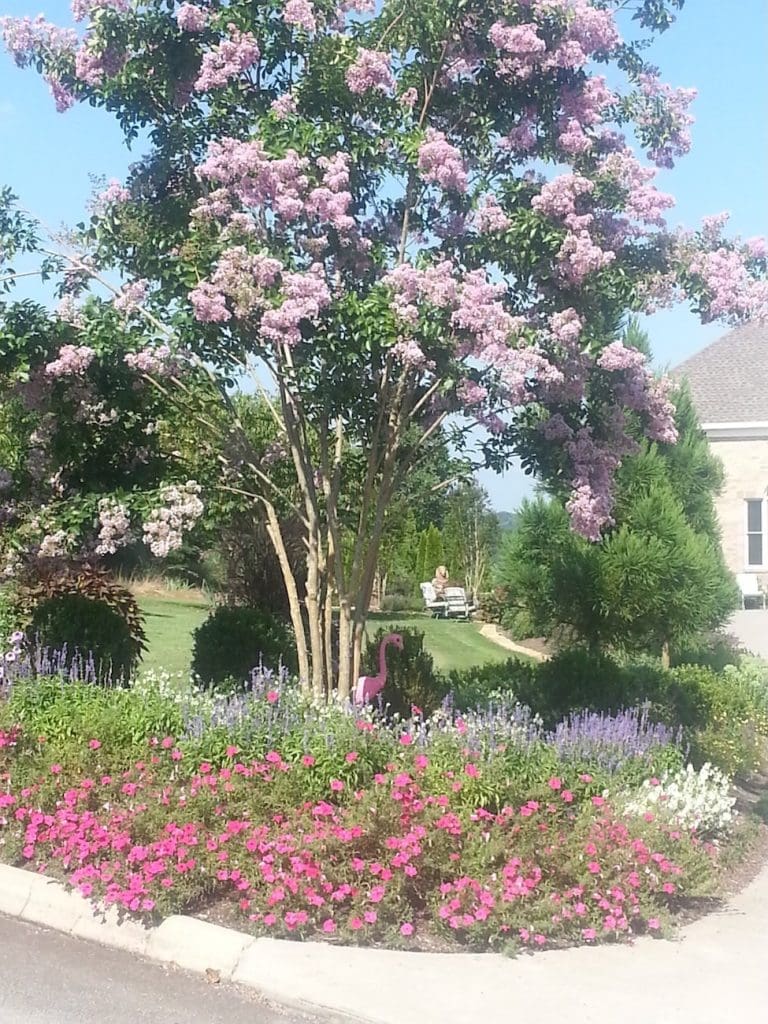 Stuart Row Landscapes